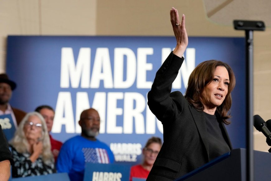 Kamala Harris needs star power to 'gain momentum,' Trump media director says: 'Nobody wants to come see her'