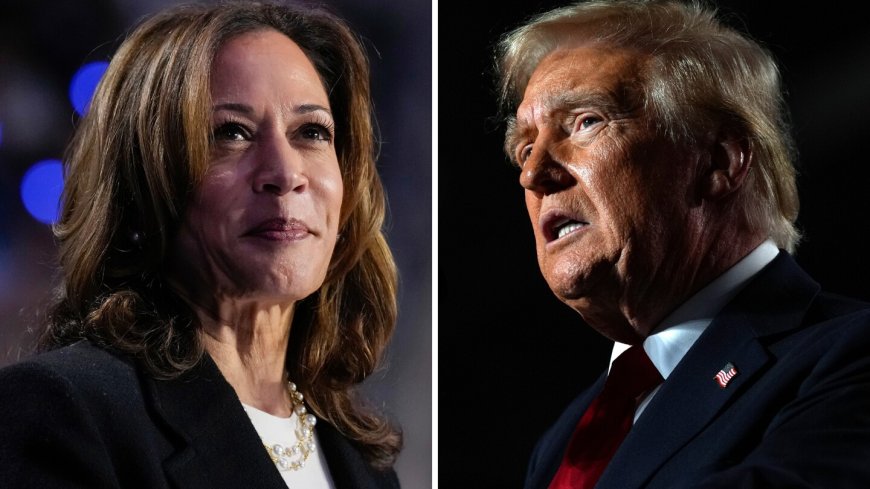 Harris and Trump focus on Sunbelt states during final weekend push for votes