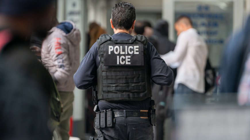 25 illegals convicted of child sex crimes in US deported in October: ICE Houston