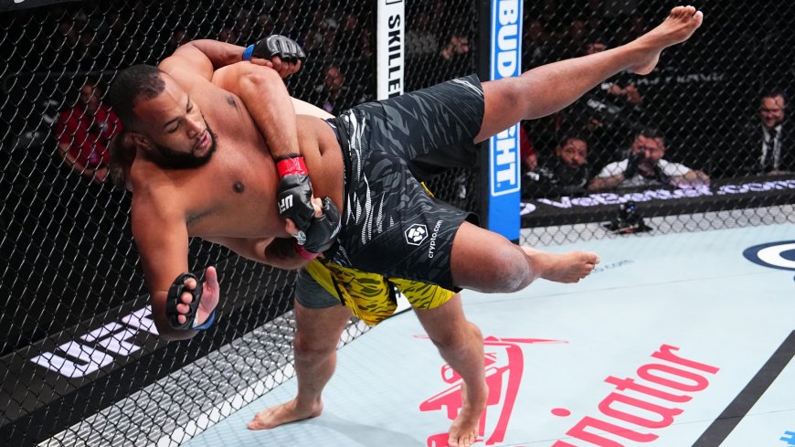 Top 15 ranked UFC heavyweight removed from roster just 48 hours after dominant win