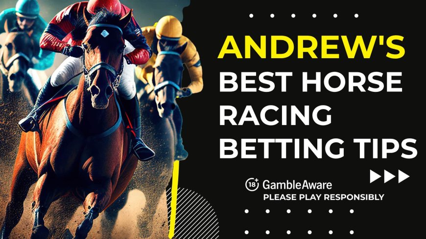 Andrew’s best Thursday horse racing betting tips [November 7, 2024]