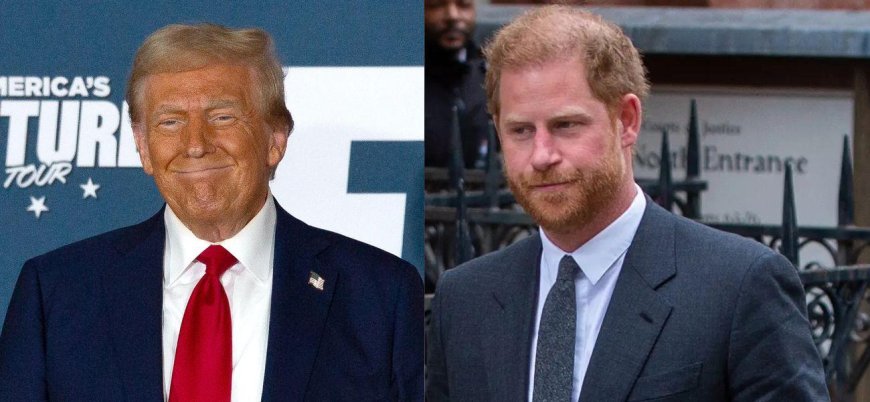 Prince Harry's Immigration Files Might Be Released With Trump's Election Win As 'It's The President's Prerogative'