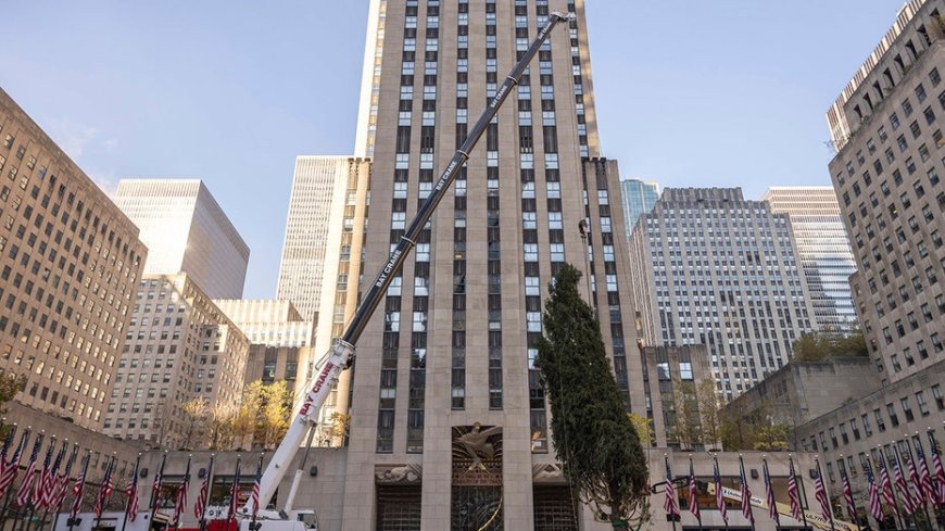 Haul out the holly! Rockefeller Center Christmas tree arrives in New York City