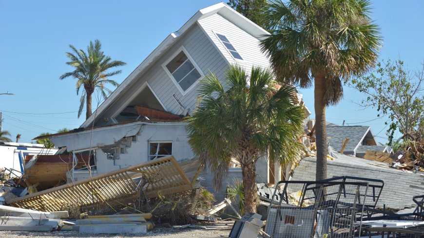 Hurricane relief worker told fellow staff not to help Trump supporters