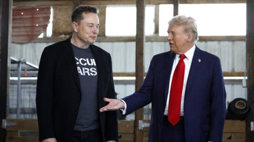 Elon Musk tapped for White House job