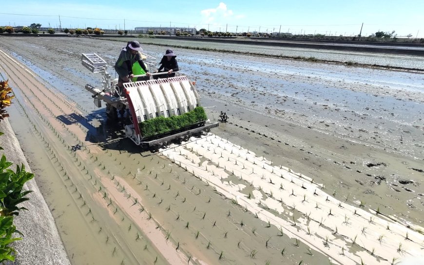 想到除草就飽了？來試試「紙膜」！耕作鋪膜一次搞定，水旱田都能用，可自然分解