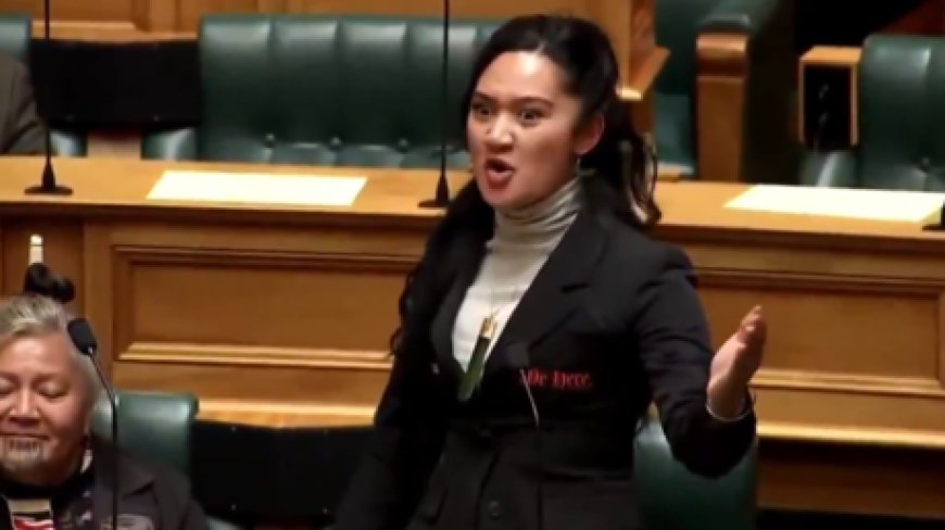 Maori MPs perform war chant in parliament (VIDEO)