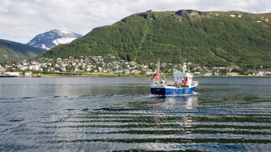 Norwegian fisherman ‘catches’ submarine in its net