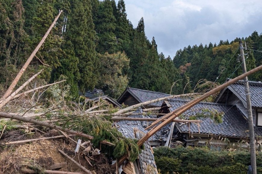 努力小農》氣候變遷見證者  能登半島的里山是永續典範還是墓誌銘？（上）