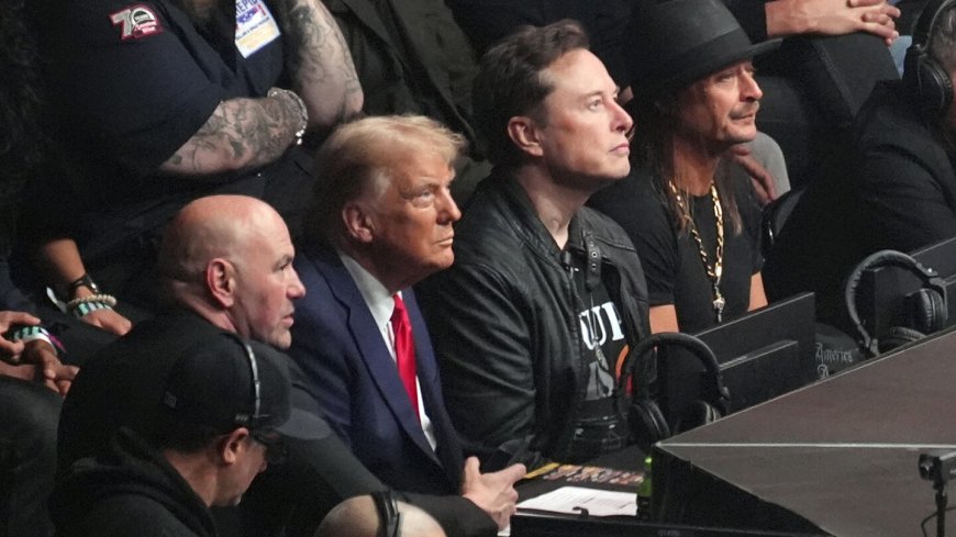 Trump attends UFC championship fight in New York, taking a break from Cabinet picks