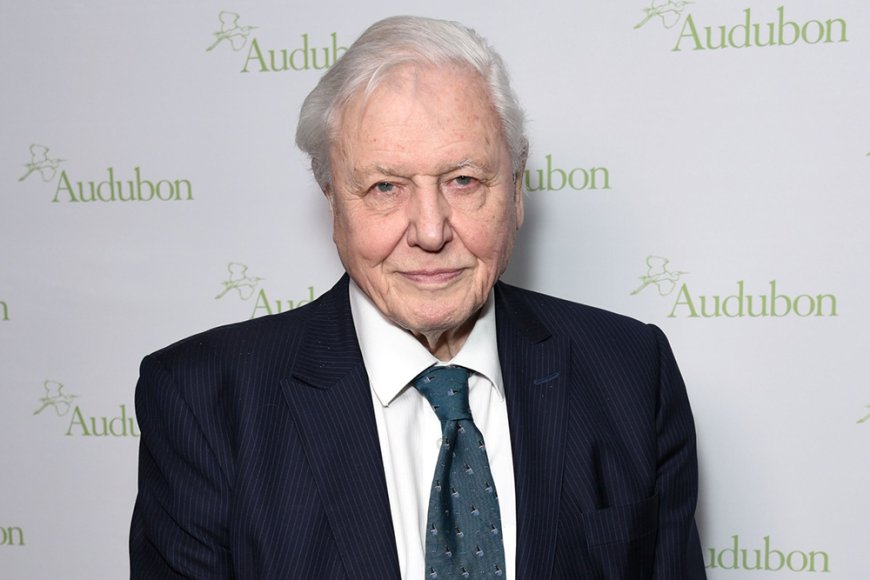 David Attenborough Reacts to AI Replica of His Voice: ‘I Am Profoundly Disturbed’ and ‘Greatly Object’ to It