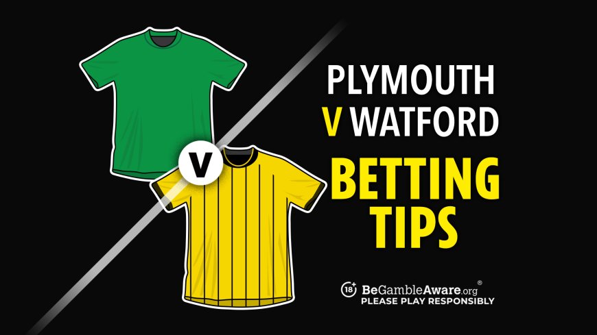 Plymouth v Watford prediction, betting tips, odds and preview