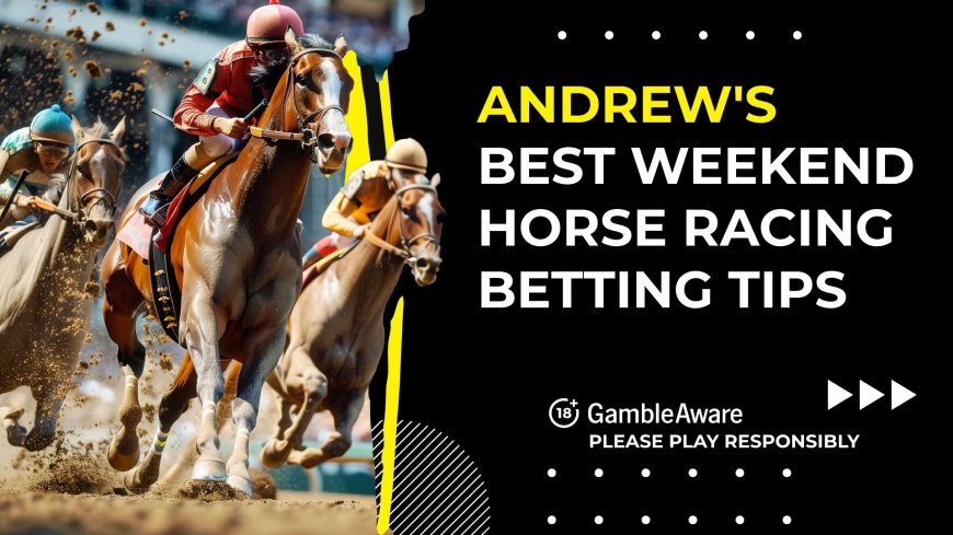 Andrew’s best Sunday horse racing betting tips (November 24, 2024)