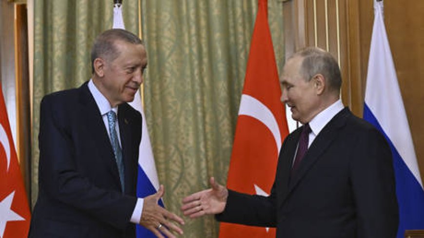 Erdogan makes new pledge to Putin