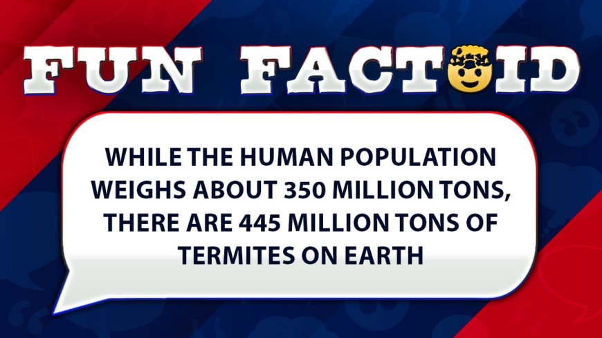 Fun Facts: All the termites in the world outweigh the entire human population