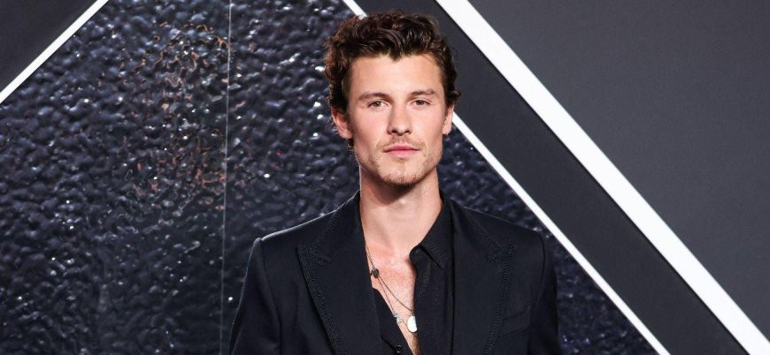 This Openly Gay Performer Was Fearful They Potentially 'Outed' Singer Shawn Mendes