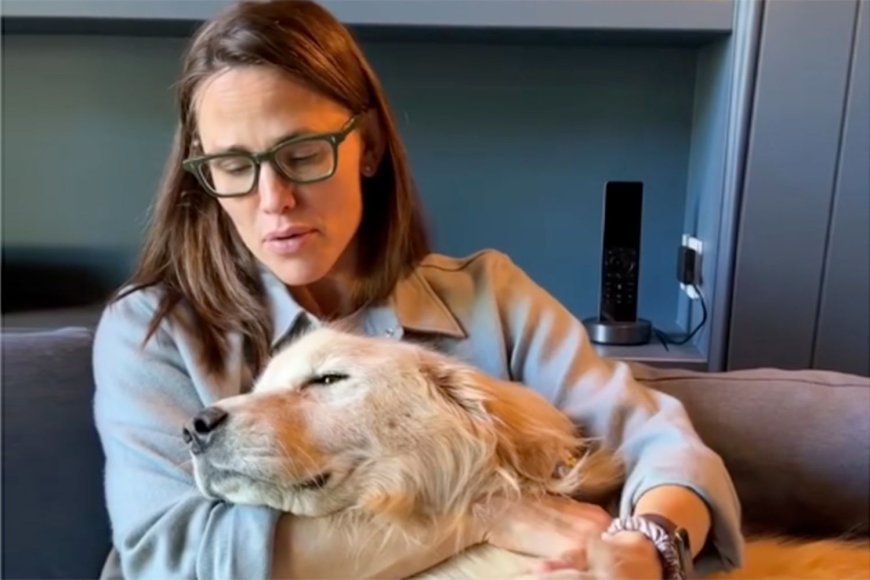 Jennifer Garner's Golden Retriever Birdie Dies After Vet Visit Revealed the Dog Was at the 'End of Her Life'