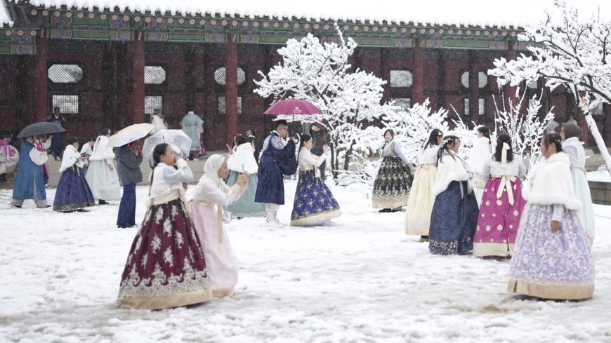 Biggest November snowstorm in half century hits Seoul and grounds flights