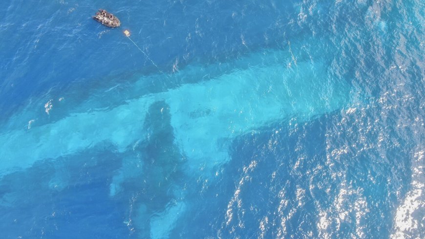 Crew mistakes caused the sinking of a New Zealand navy ship off Samoan coast, inquiry finds