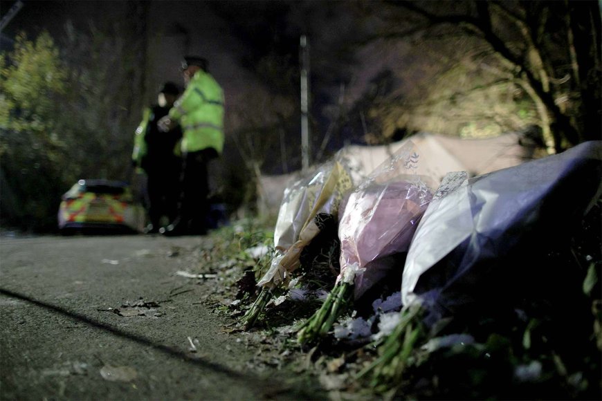 Remains of Baby Found in Muddy Field by Dog Walker Identified as Newborn Girl: Police