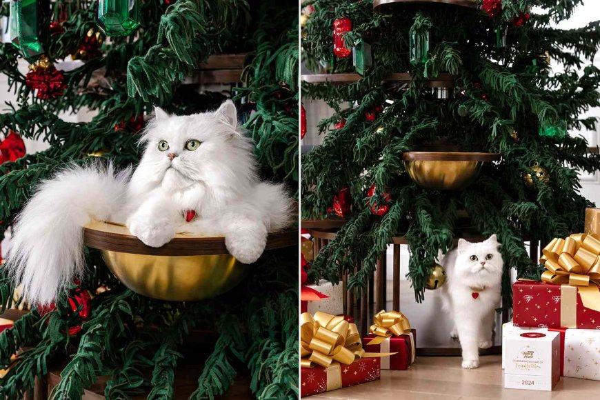 New Destruction-Proof Christmas Tree Is Built for Cats to Climb Without It Falling Over