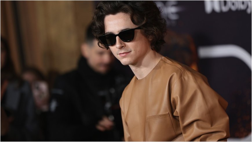 Timothée Chalamet Says He Lost Out on Roles in ‘Maze Runner’ and ‘Divergent’ After Being Told ‘You Don’t Have the Right Body’ For Action Films