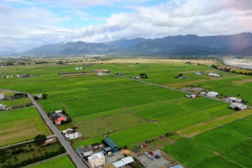 2024 世界土壤日　《一根稻草的革命》  出版50週年祭