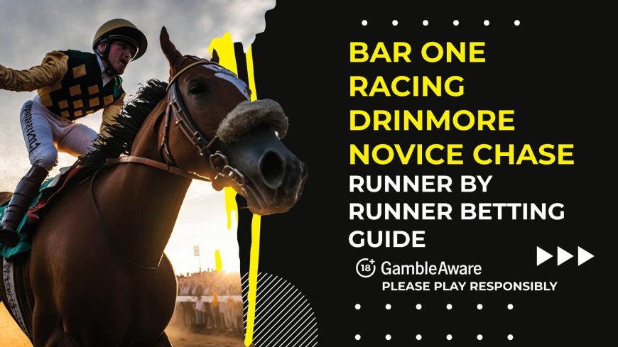 Bar One Racing Drinmore Novice Chase: Runner by runner betting guide