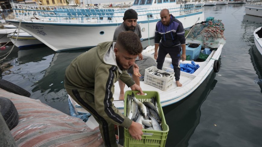 Fishers at a Lebanese port hope ceasefire with Israel means normal life is returning