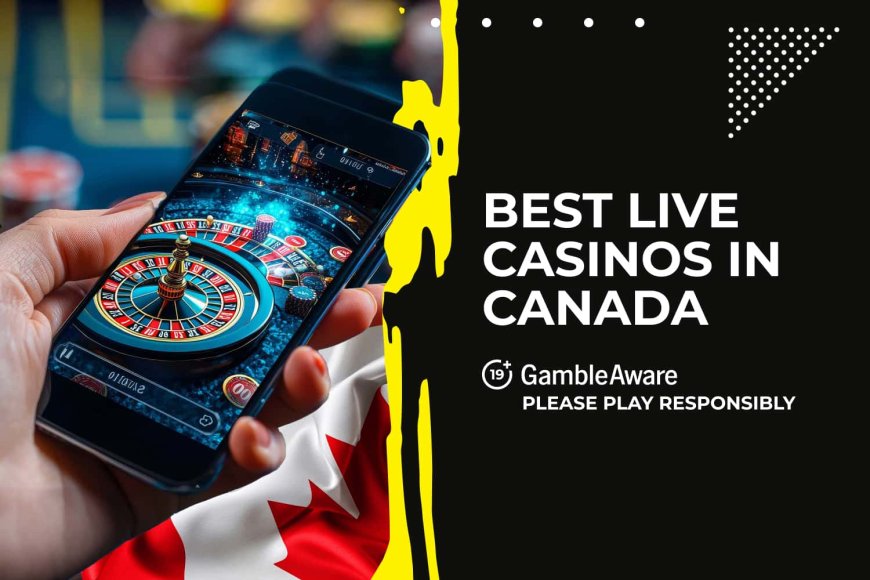 Top live casinos in Canada (December 2024)