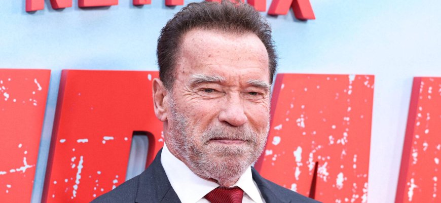 Arnold Schwarzenegger's LA Home Targeted In Thanksgiving Day 'Swatting' Prank With Bomb Threat