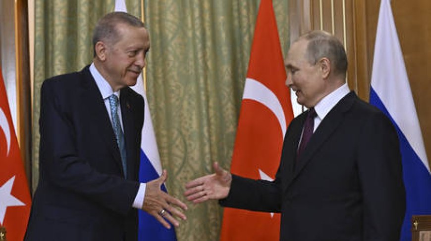 Putin and Erdogan discuss Syrian crisis