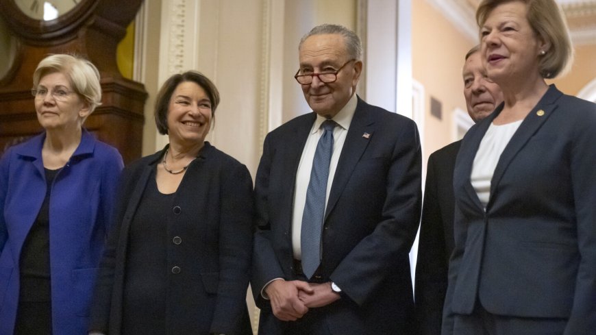 Democrats stick with Schumer as leader. Their strategy for countering Trump is far less certain