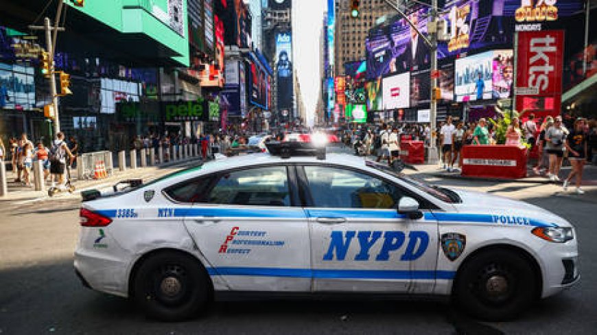 CEO murdered in New York City hit – police