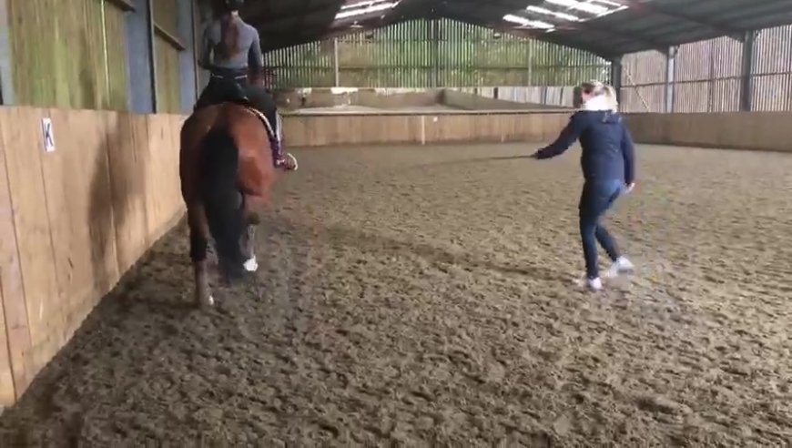 Shamed Olympic champion discovers fate after horse whipping scandal