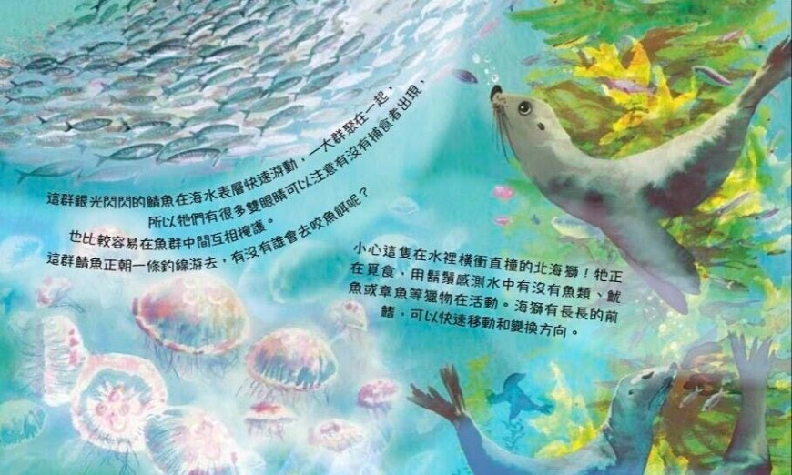 《海洋裡有什麼呢？》：在你看不到的海面下，到底有什麼生物在活動呢？