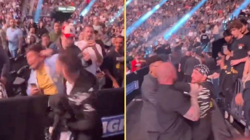 Fan PUNCHED by coach at UFC 310 as Merab Dvalishvili involved in post-fight altercation after Aljamain Sterling loss