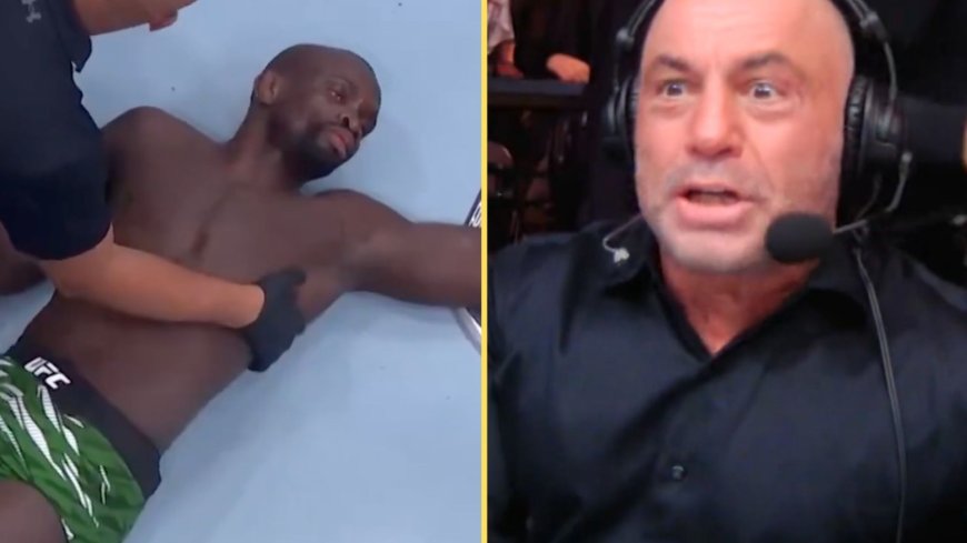 ‘A statement’ – Joe Rogan reacts to wild UFC 310 finish that makes history and leaves opponent unconscious