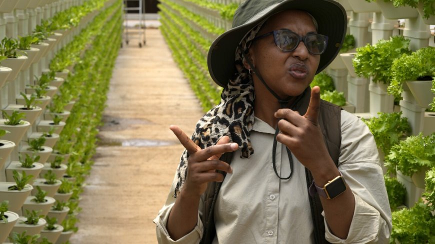 A farming project in South Africa is helping deaf people build skills and find jobs