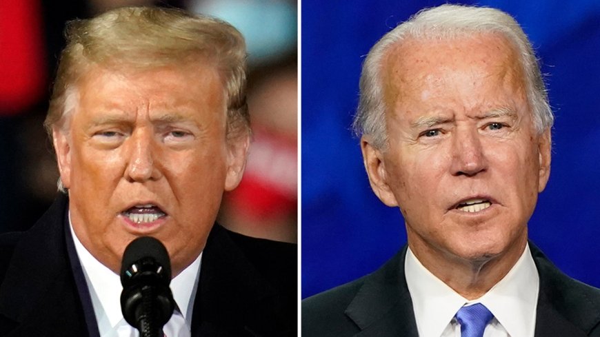 LIZ PEEK: Trump just outfoxed Biden and his corrupt family. Again