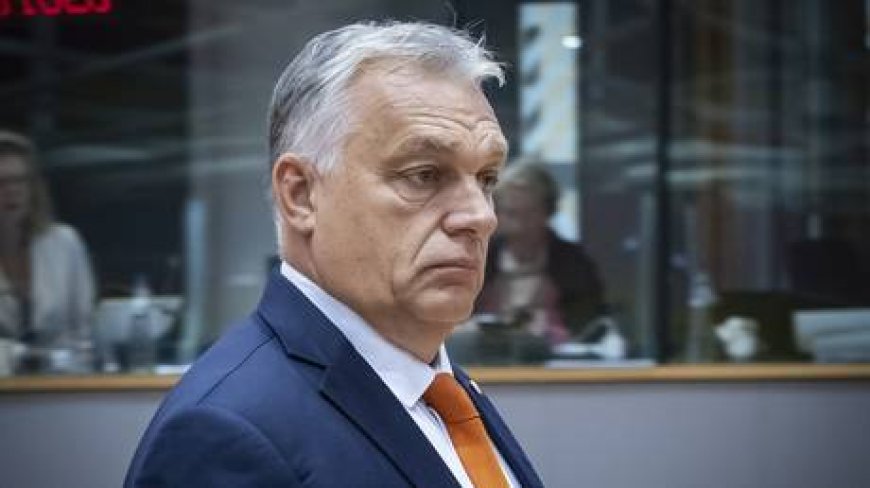 Liberal world order is over – Orban