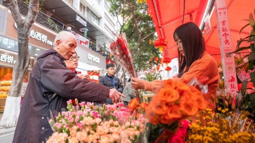 【番禺】2025年番禺迎春花市来啦！本月20日招租