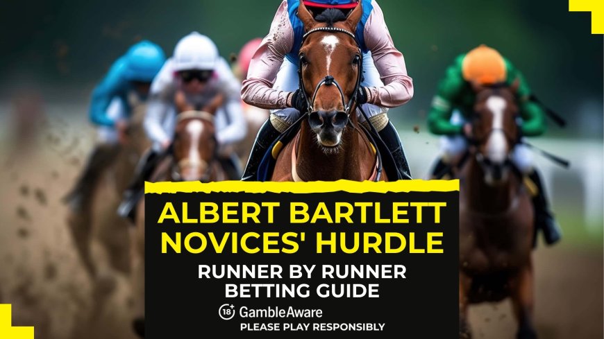 Albert Bartlett Novices’ Hurdle: Runner by runner betting guide