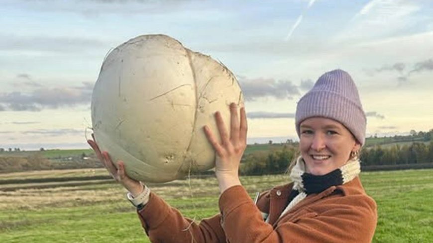 Woman feeds family for a week with 11-pound mushroom find: 'Twice the size of my head'