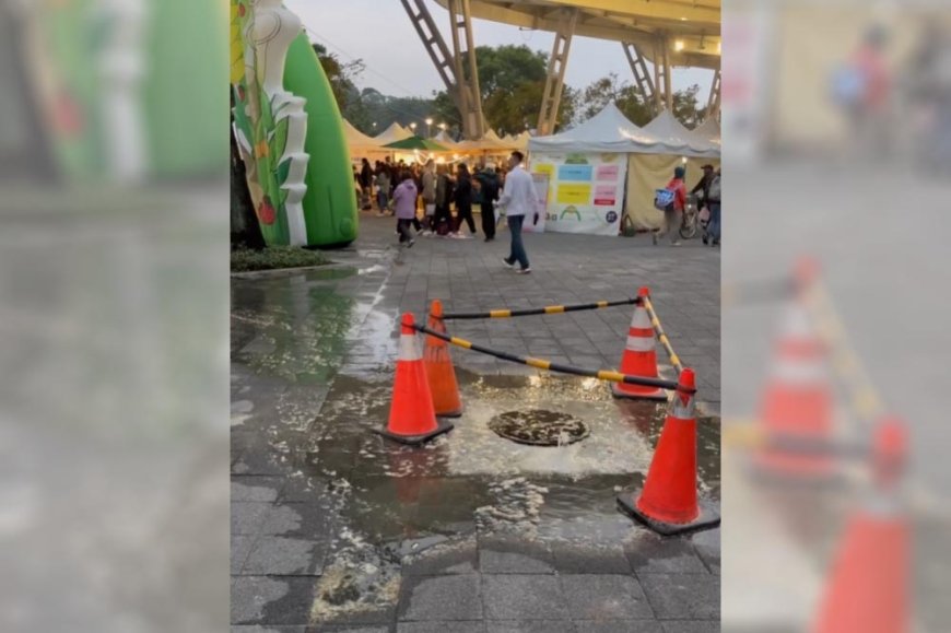 太可怕！花博公園化糞池「屎水噴出」畫面曝光　民眾怨：超級噁心