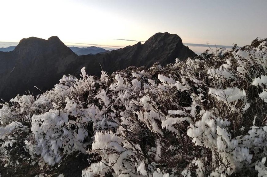 玉山今晨僅-5.7°C　一整片白茫茫「霜淞」超美畫面曝光