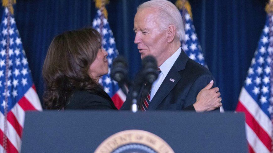 Biden, Harris thank major Democratic donors and urge them to stay engaged after tough loss to Trump