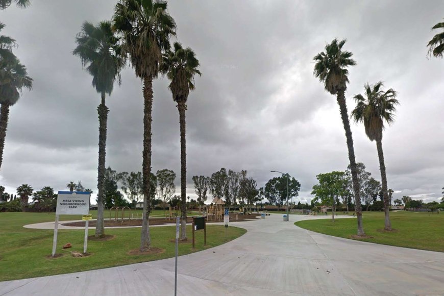 California Man Dies After Being Mauled by 3 of His Own Dogs in San Diego Park: Reports