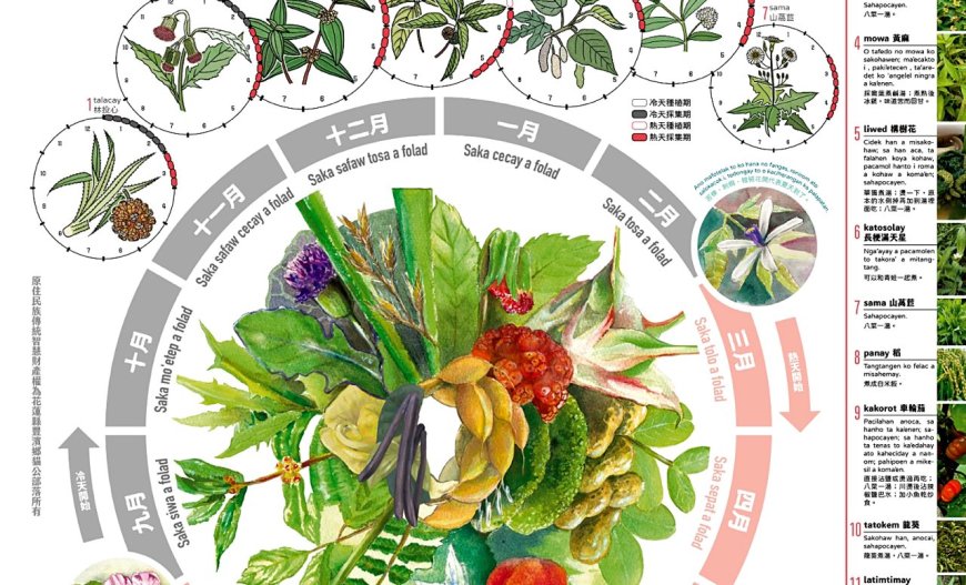 16 種野菜季節曆，陪你度過四季！林試所與貓公部落合作，調查兩年繪製