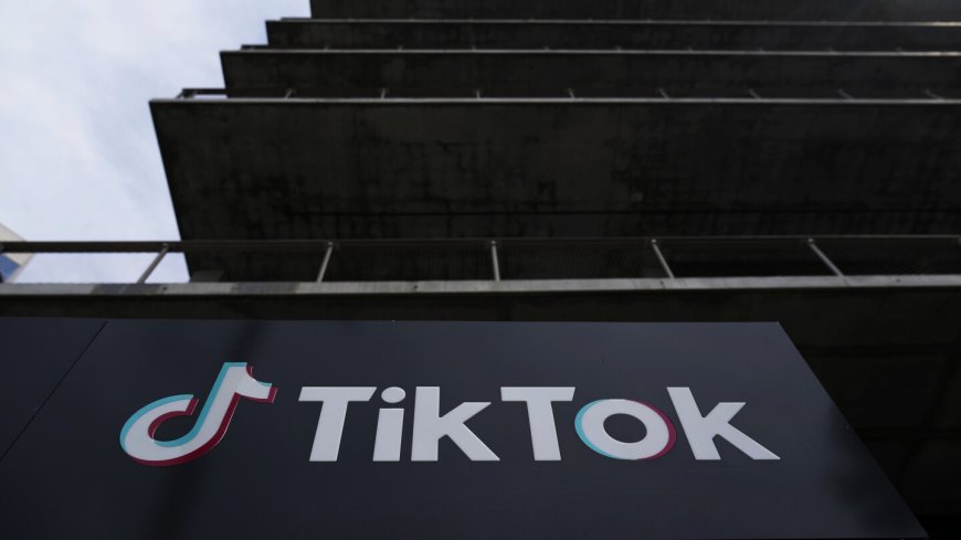 TikTok asks the Supreme Court for an emergency order to block a US ban unless it's sold